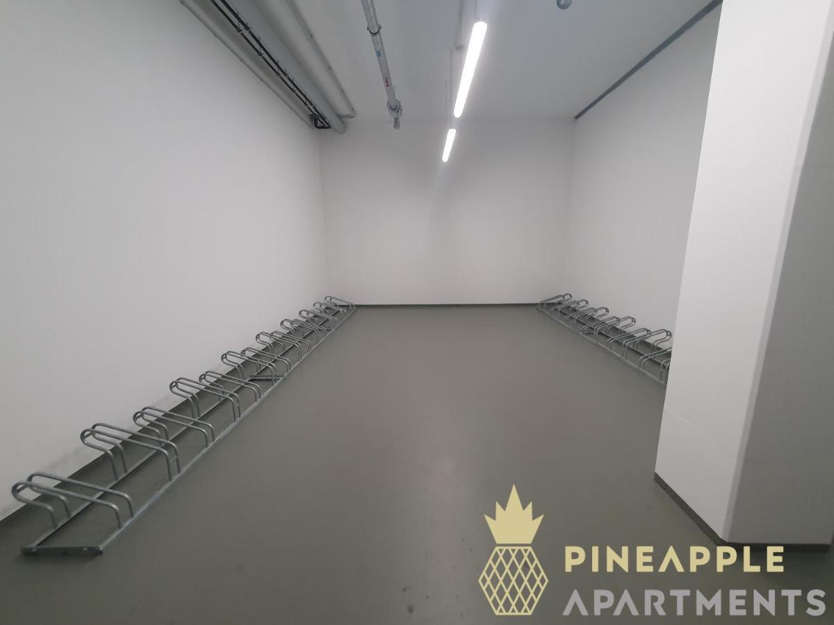 Pineapple Apartments Dresden Altstadt IV - 91 Qm - 1X Free Parking Экстерьер фото